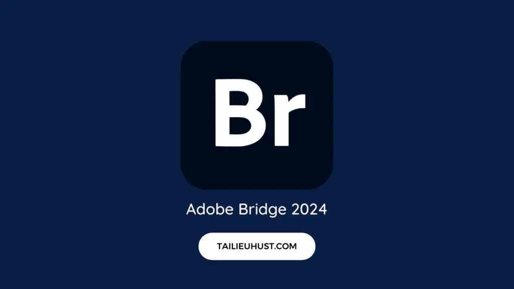 download Adobe Bridge 2024