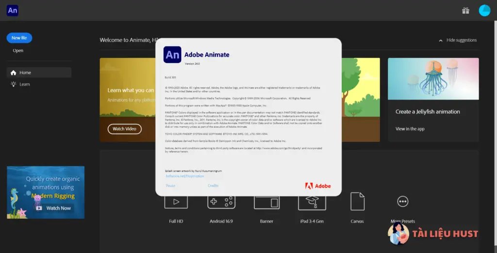 giao diện phần mềm Adobe Animate 2024