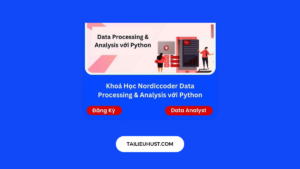 Khóa học Data Processing Analysis với Python - Nordiccoder